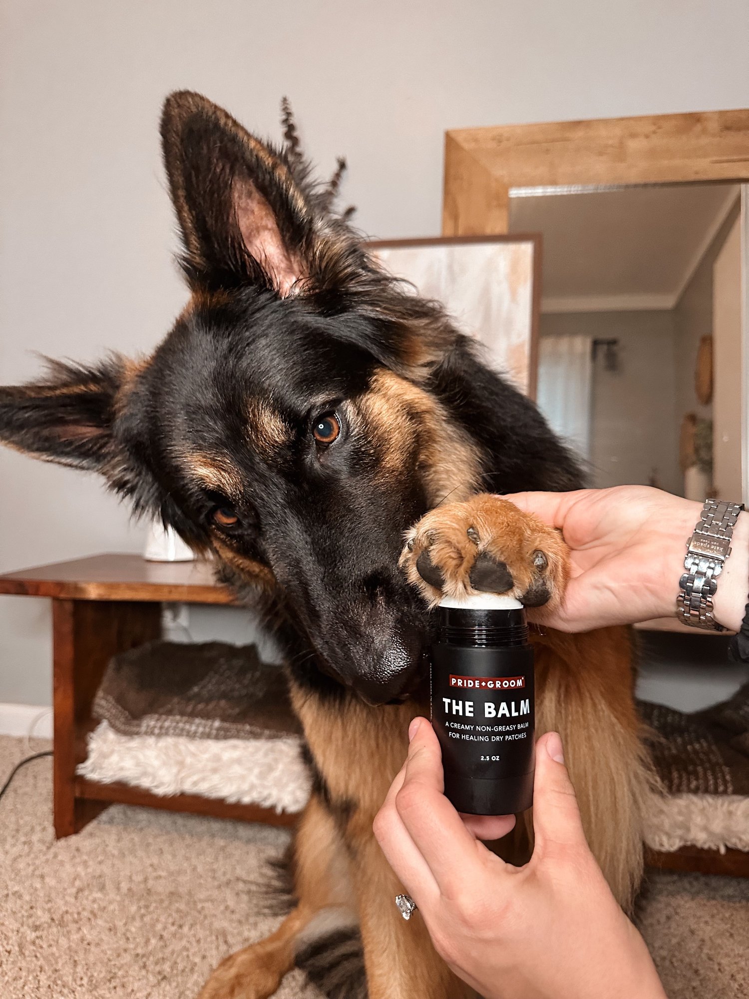 THE BALM by PRIDE + GROOM