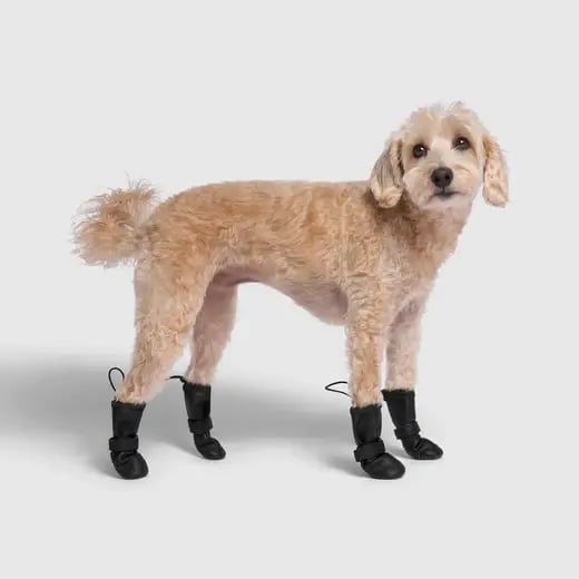 Canada Pooch Waterproof Rain Boots