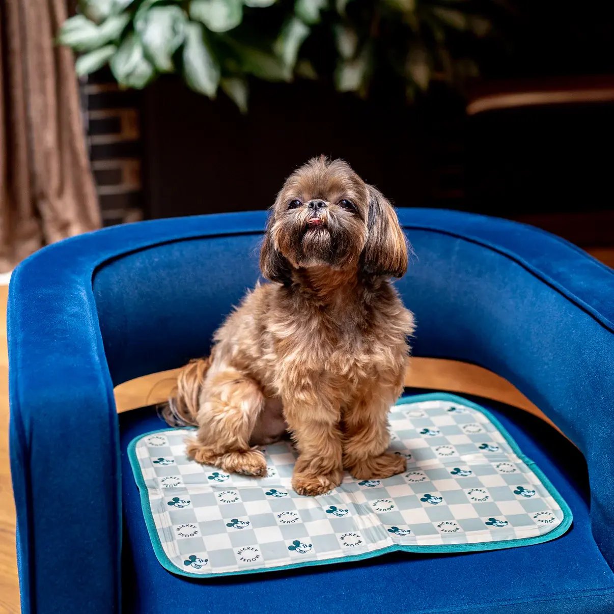 Green Pet Disney Cool Pet Pad