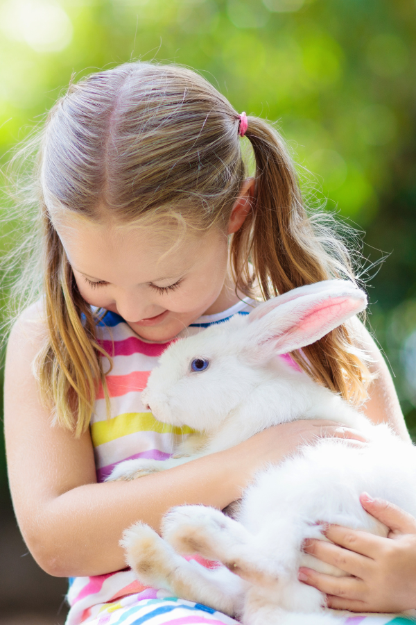 Human animal bond