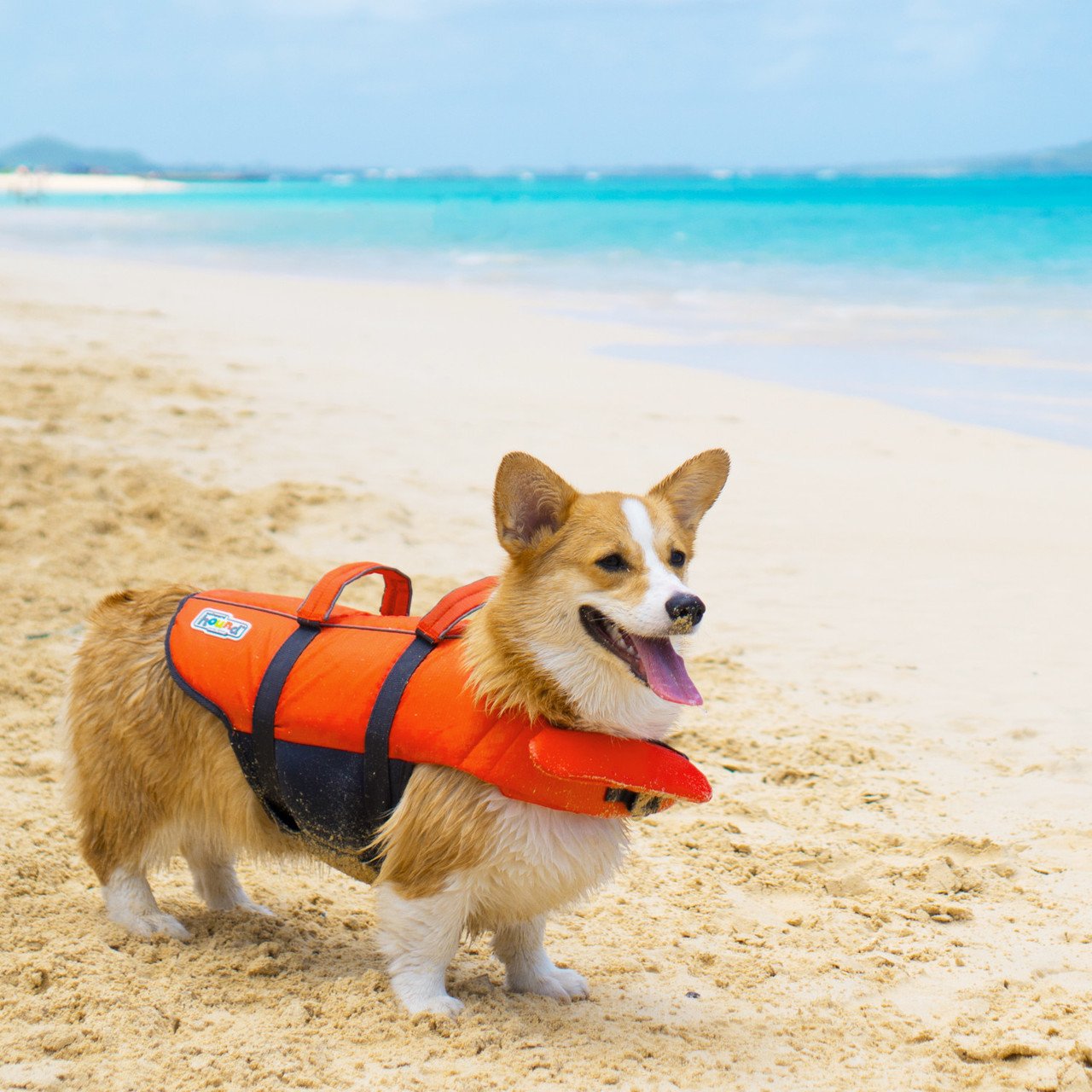 Outward Hound Granby Splash Life Jacket