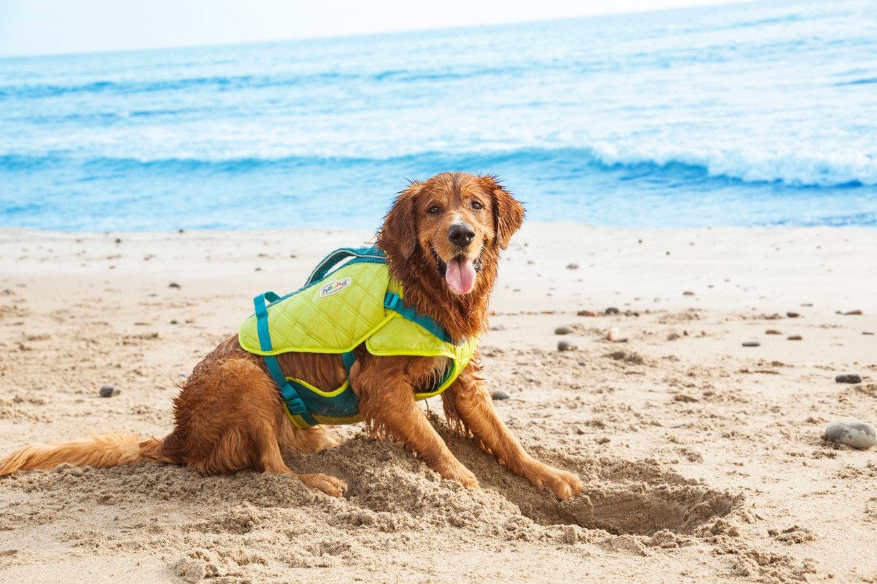 Outward Hound Standley Sport Performance Dog Life Jacket