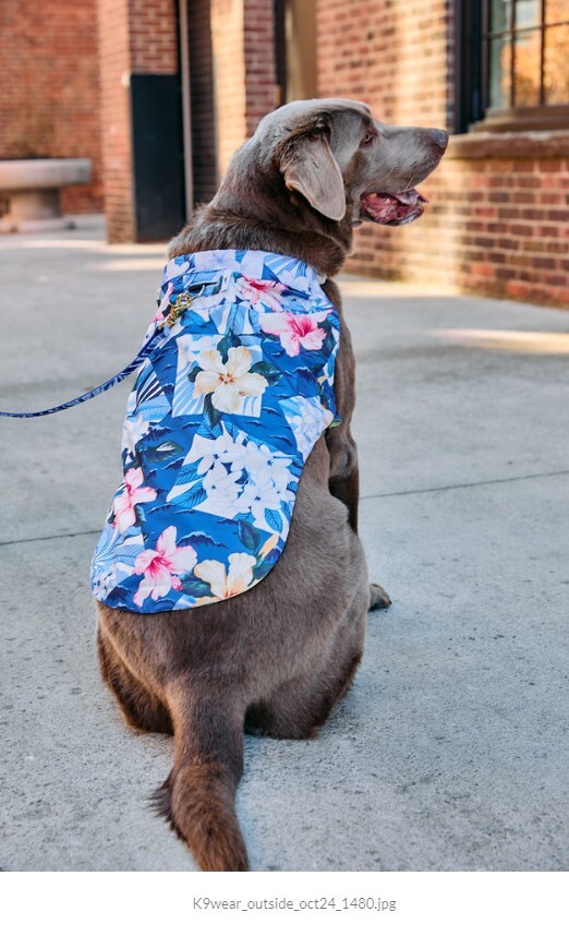 Tommy Bahama K9 Wear Hawaiian Shirt and Harness Set