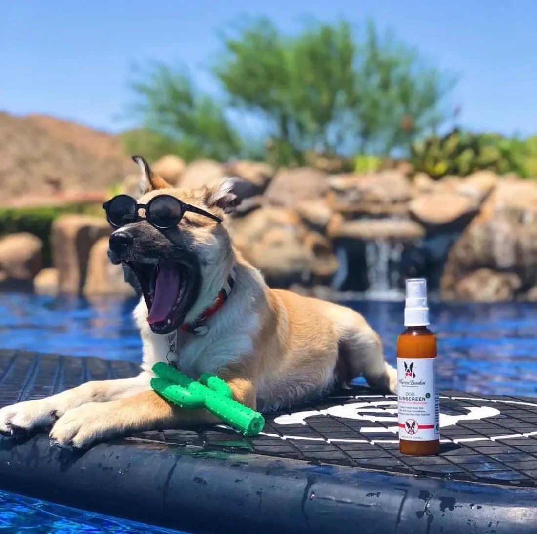Warren London Dog Sunscreen