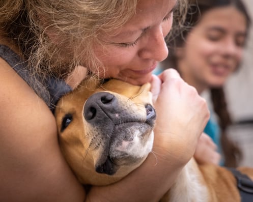 Person Showing Dog Affection