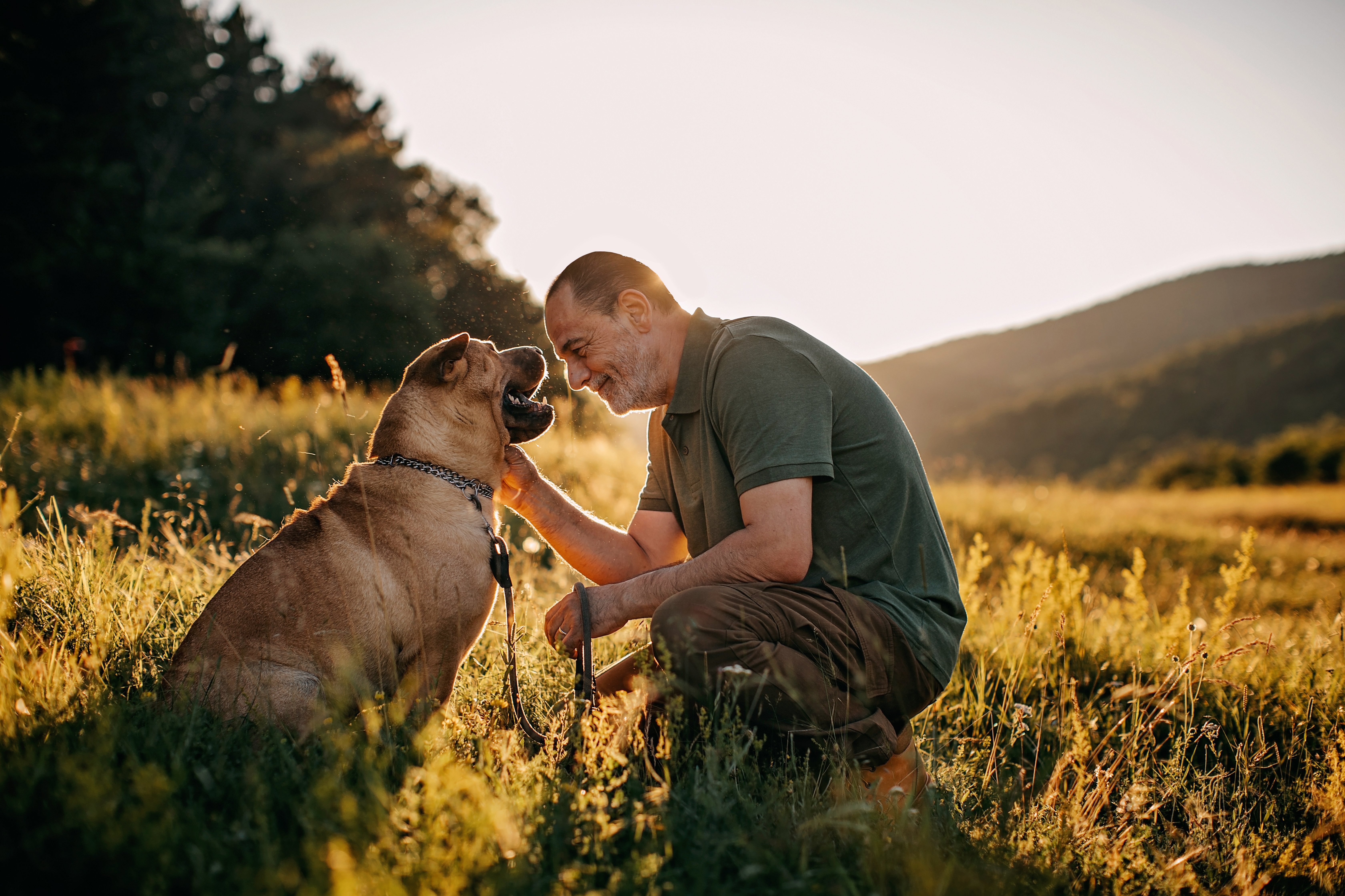 A Fresh Look at APPA’s State of the Industry Report: What’s New in 2026 (and Why It Matters)