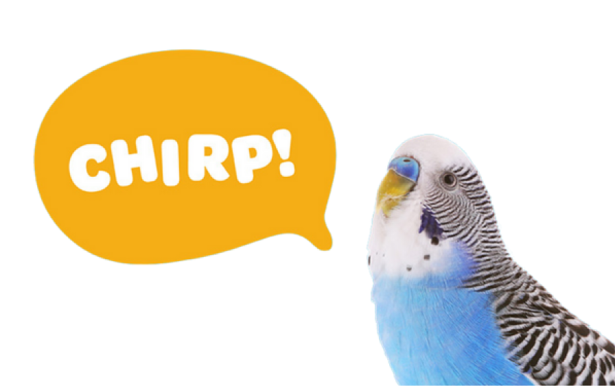 Parakeet with a speech bubble that says Chirp!