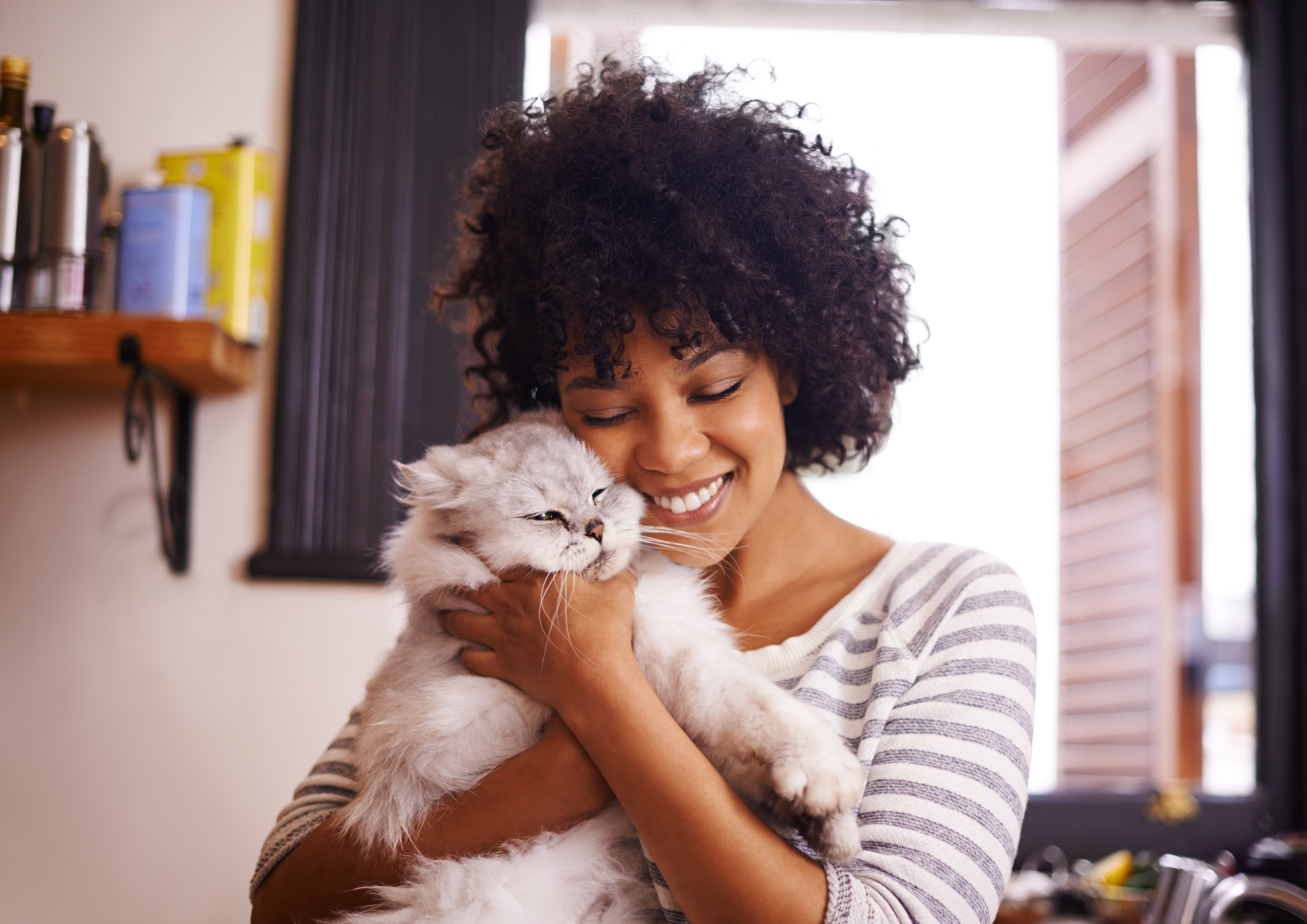 Alleviate Pet Anxiety and Promote Holistic Pet Wellness with Calming, Enrichment and Engagement Products, Courtesy of APPA Members