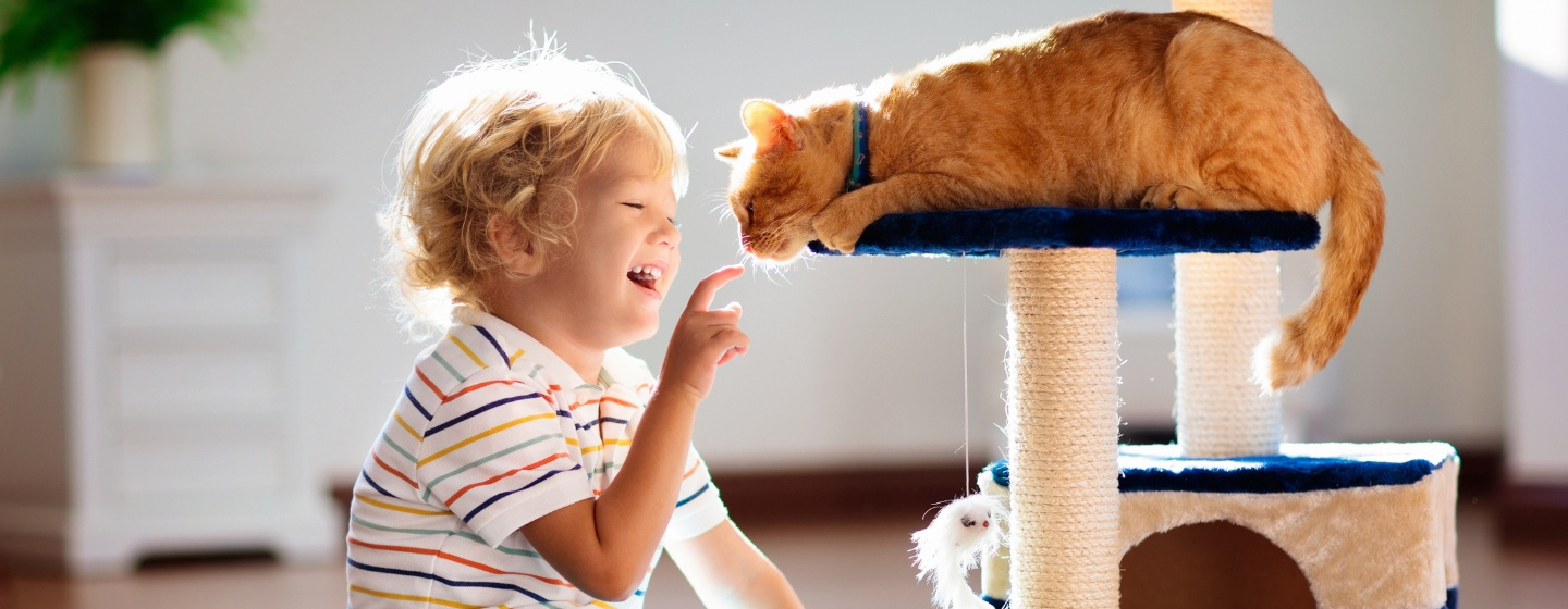 Little Boy Smiling and Interacting with an Orange Cat