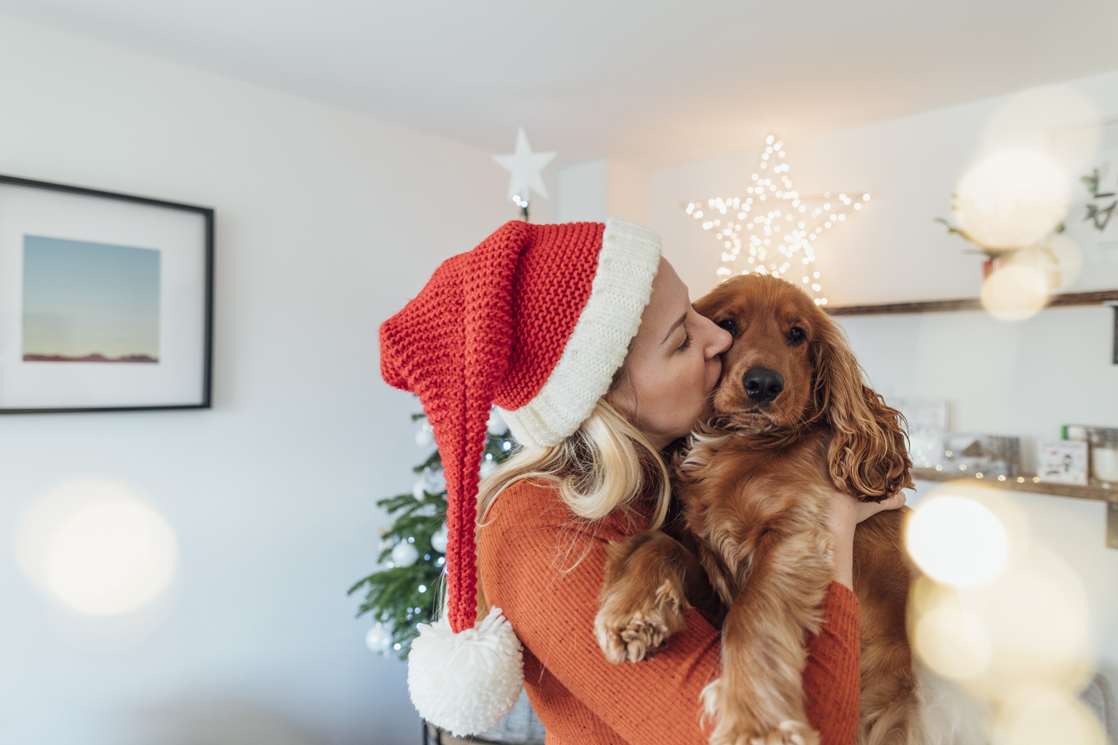 Holiday Pet Products to Add to Your Wish List, Courtesy of American Pet Products Association Members