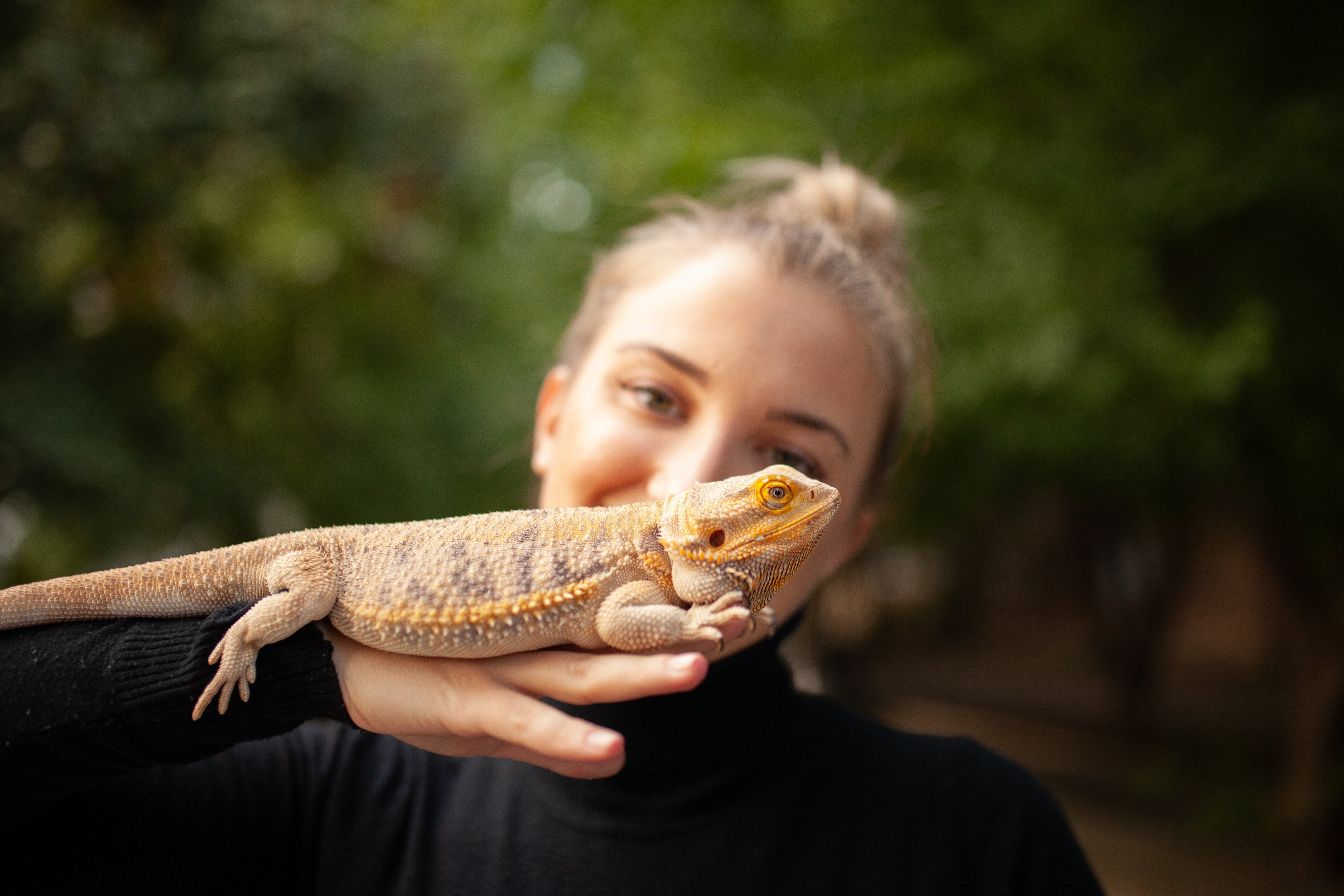 Research Shows: Gen Z Fuels Reptile Growth While Millennials Lead Fishkeeping