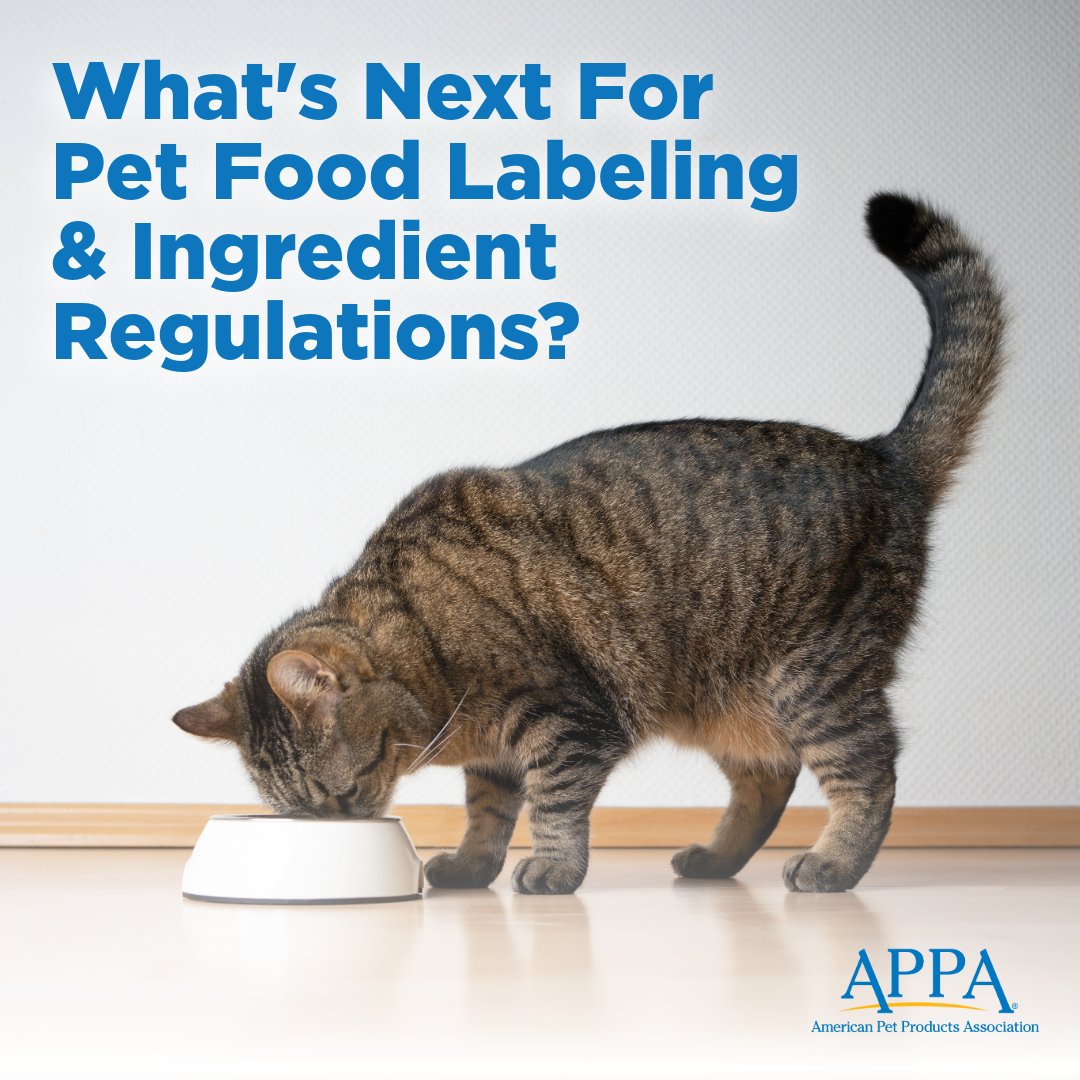 SOI-FoodReg-Webinar