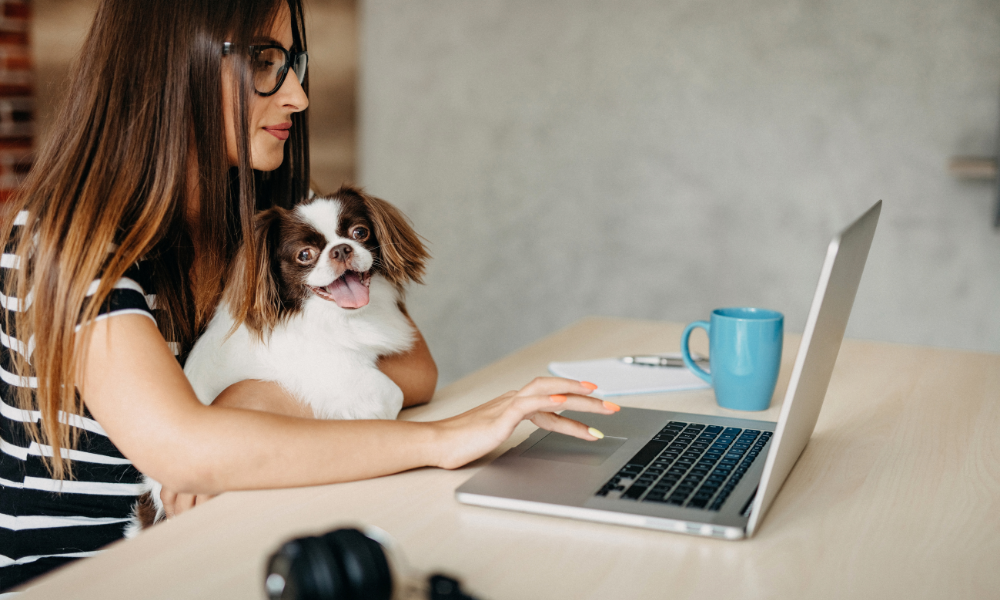 The Future of Veterinary Care: Telemedicine Movement in 2026