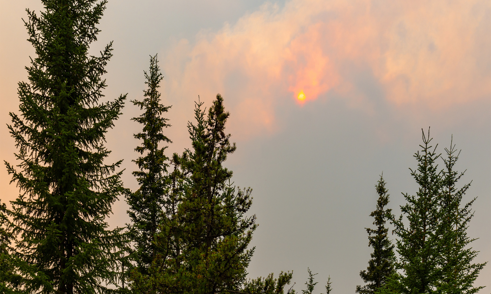 Canada Wildfires - U.S. Tariffs 