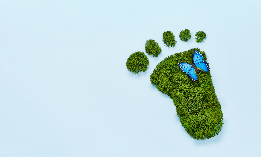 Reduce Your Pets' Carbon Pawprint With Eco-Friendly Products, Courtesy of American Pet Products Association Members