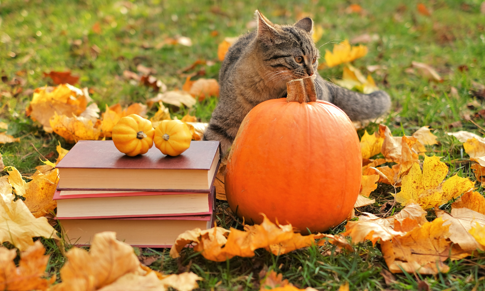 Fall into Autumn with Seasonal and Halloween-Themed Pet Products, Courtesy of APPA Members