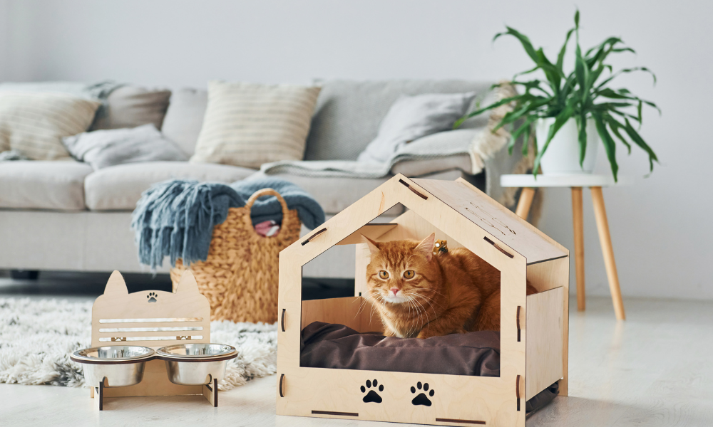Pet Friendly Housing Update – July 2026