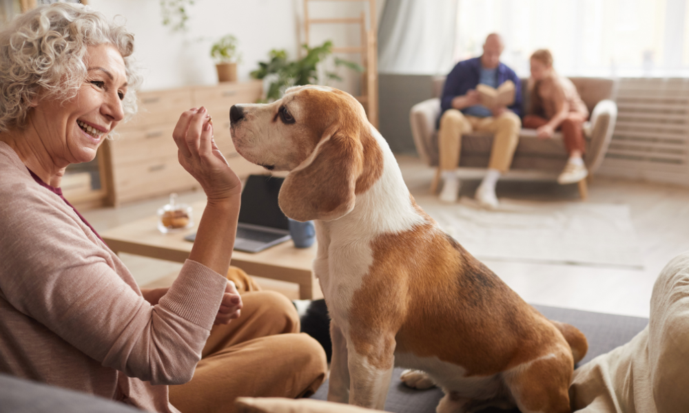 American Pet Products Association Releases Generational Report