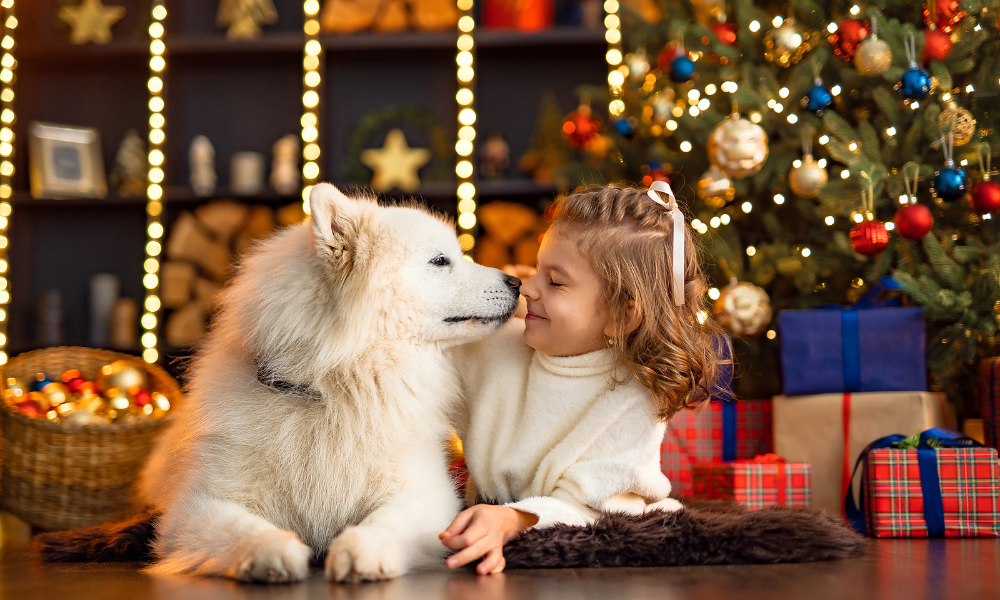 Pet Products for Every Holiday Wish List, Courtesy of American Pet Products Association Members