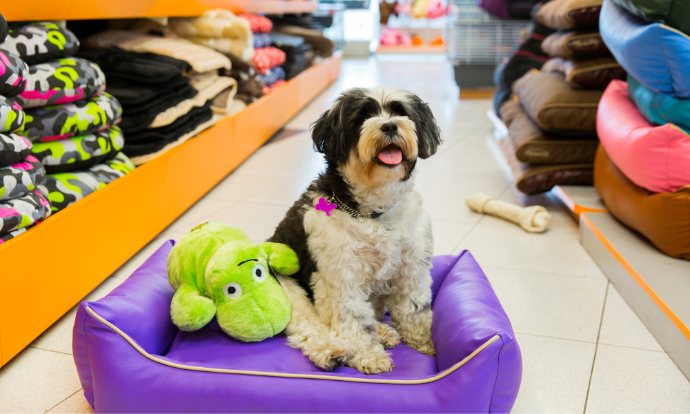 National Pet Industry Exceeds $123 Billion in Sales and Sets New Benchmark