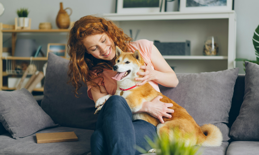 Pet Friendly Housing Update – June 2026