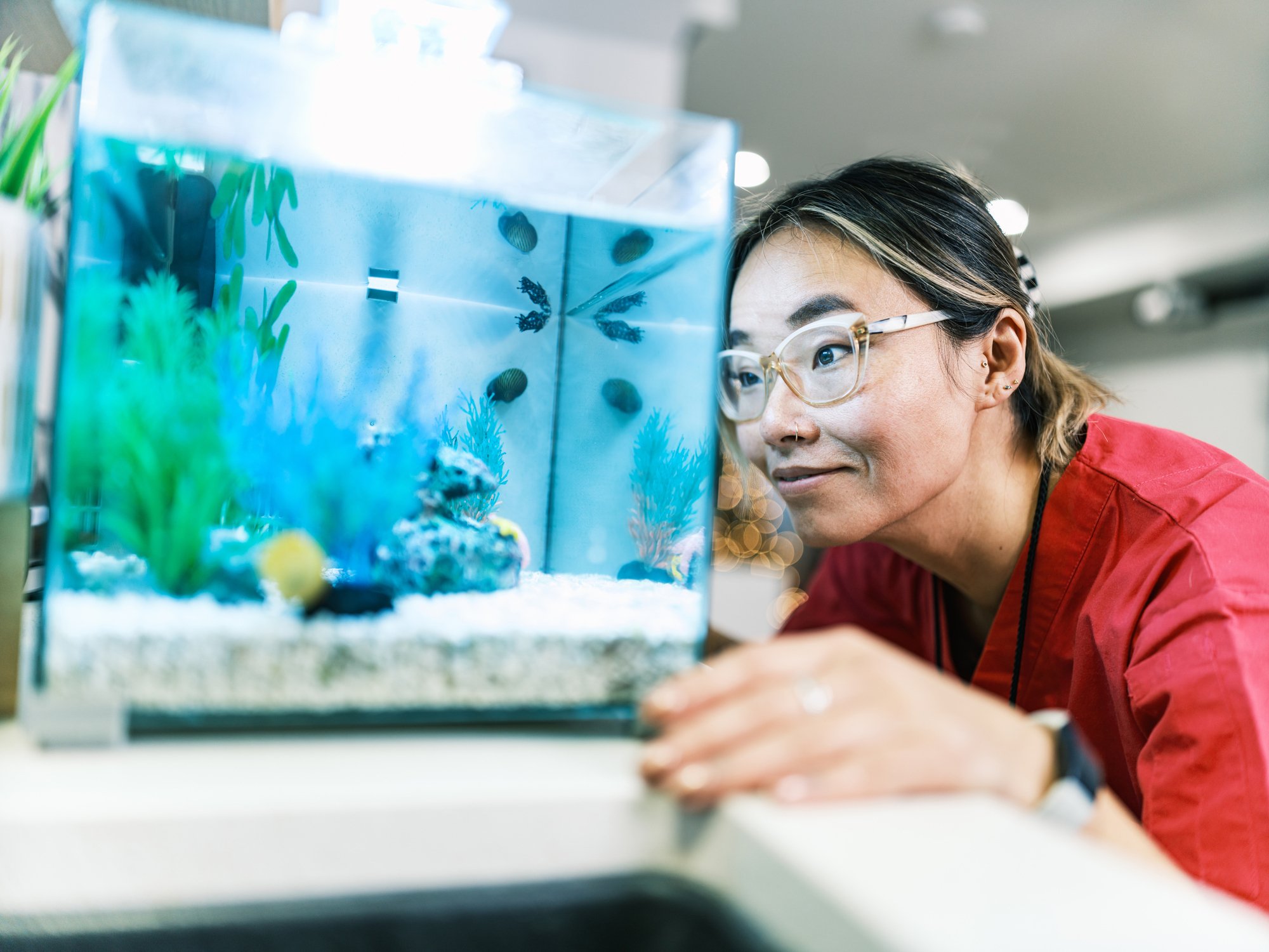 Scaling Up: Bigger Tanks, Snake Comebacks, and Data Insights