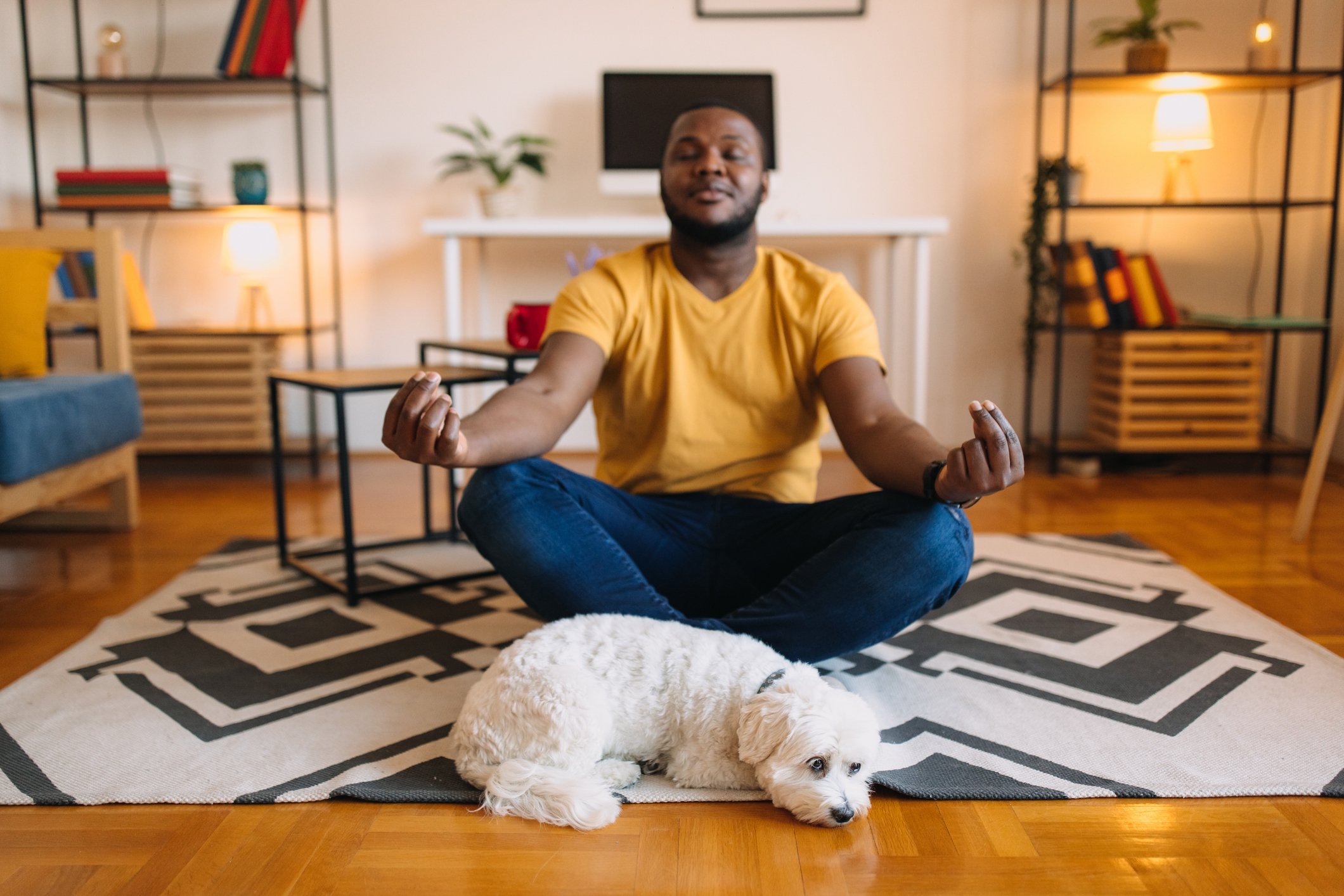 The Boom in Pet Wellness: How Supplements Are Reshaping the Market