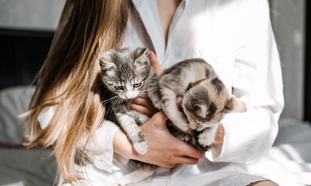 Post-COVID Rise in Pet Ownership Evident & Persistent