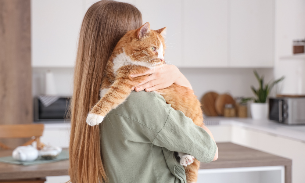 Pet Friendly Housing Update – May 2026